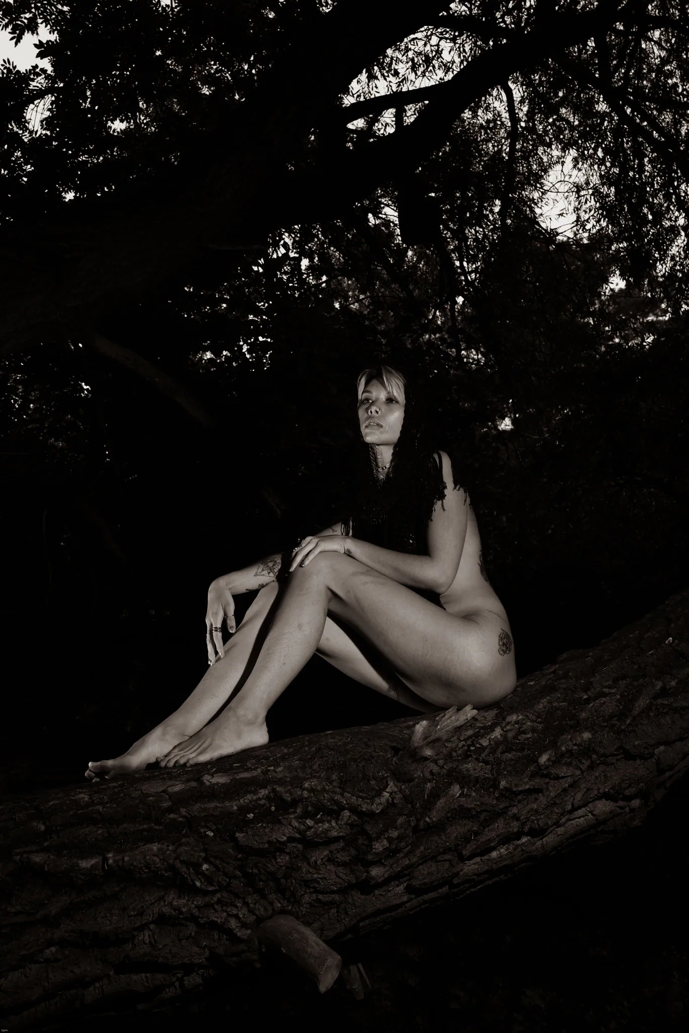 Acid Rose, Berlin. Photograph 11 by Tigran Hovhannisyan.