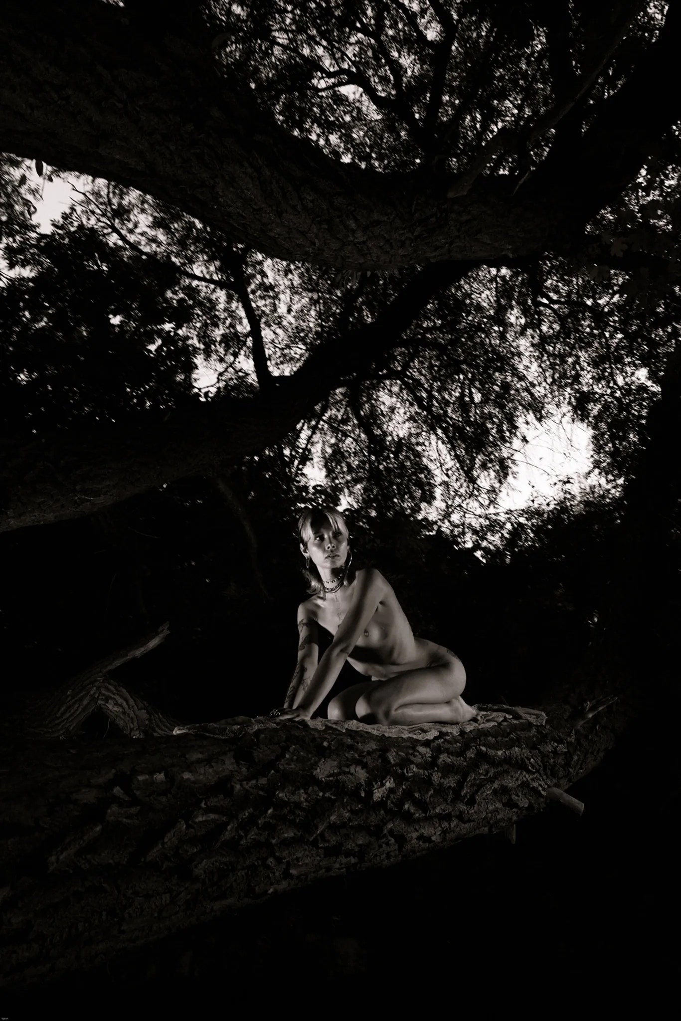 Acid Rose, Berlin. Photograph 1 by Tigran Hovhannisyan.