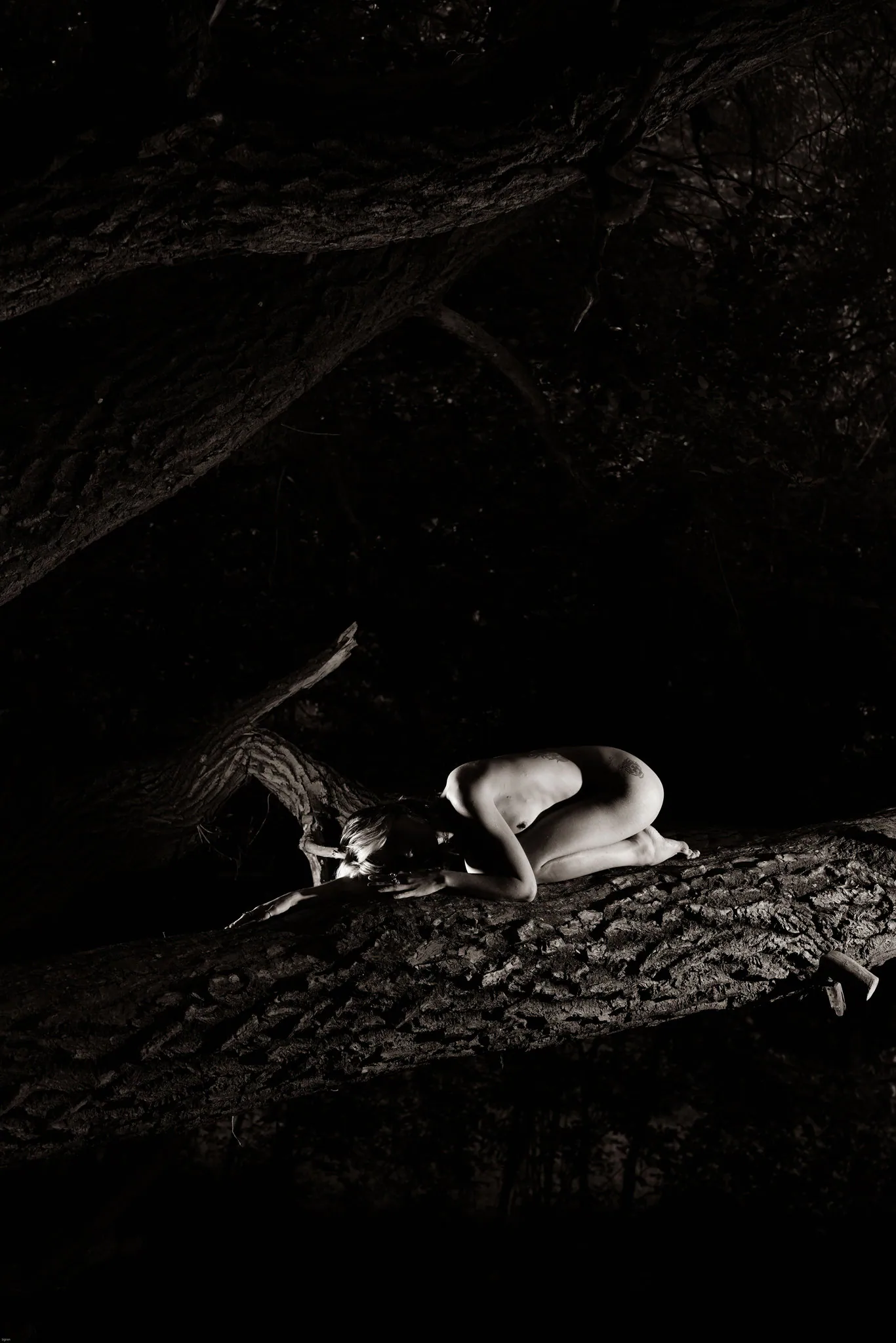 Acid Rose, Berlin. Photograph 12 by Tigran Hovhannisyan.