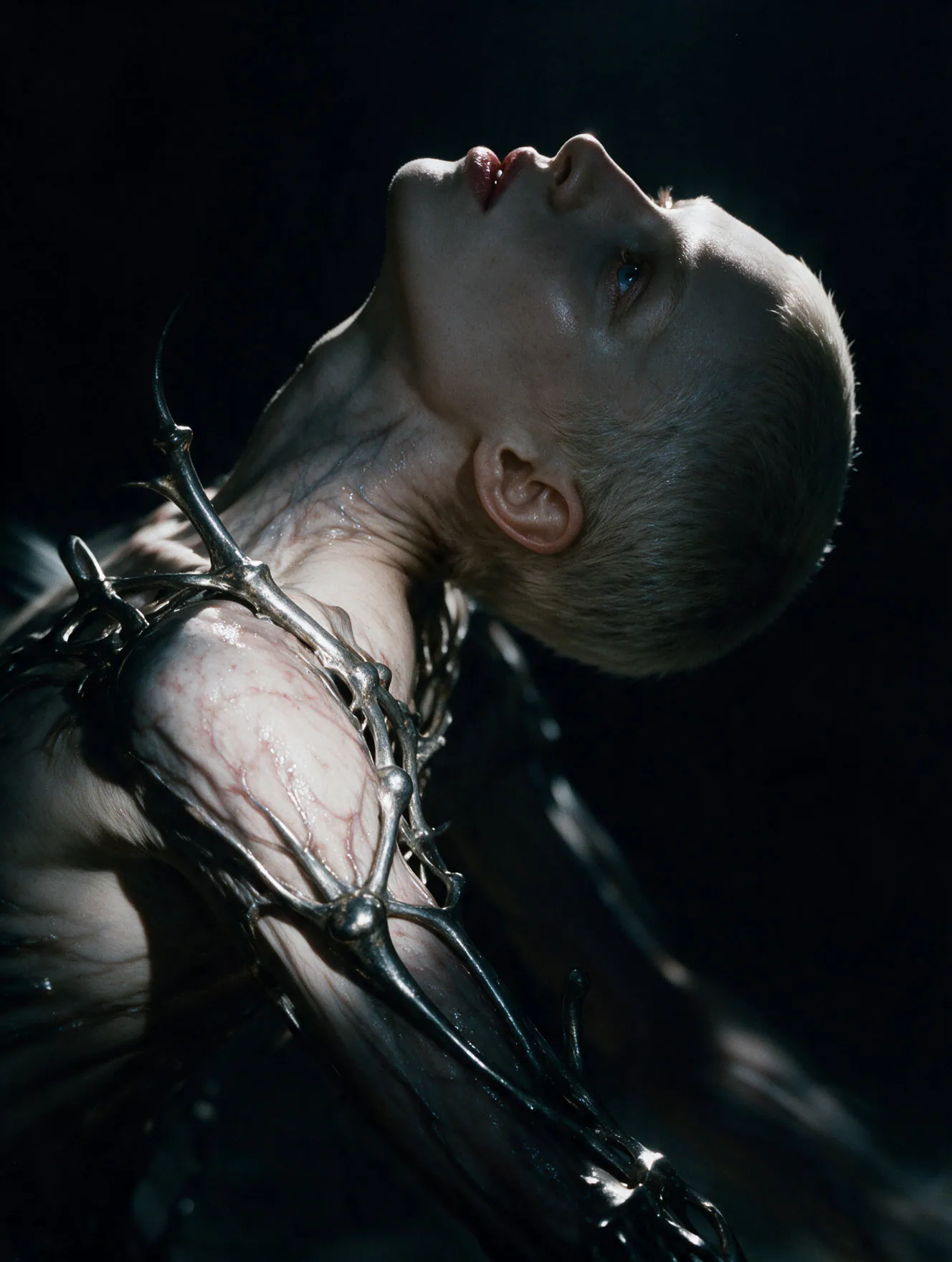 Becoming Human. Photograph 17 by Tigran Hovhannisyan.